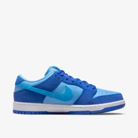 side view of blue sb dunk low