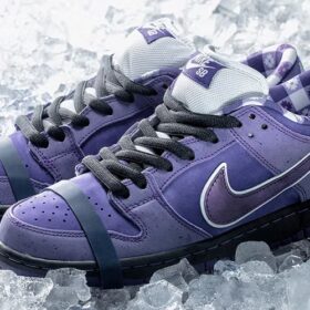 pair of sb dunks lobster purple on ice