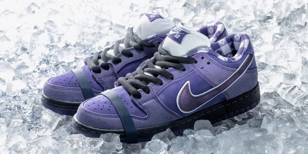 pair of sb dunks lobster purple on ice