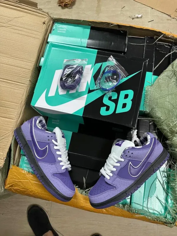 pair of sb dunk purple lobster with box